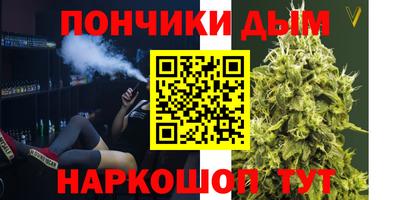 стаф Кунгур