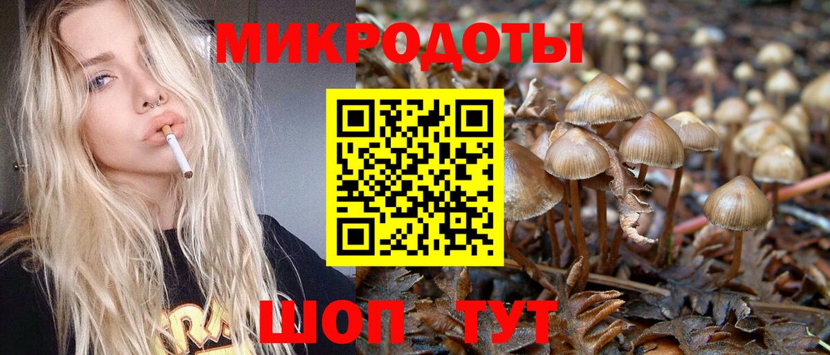 Галлюциногенные грибы Magic Shrooms Алапаевск