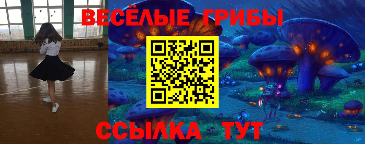 Псилоцибиновые грибы прущие грибы  Вход с VPN  Алапаевск 